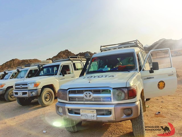 Family safari 